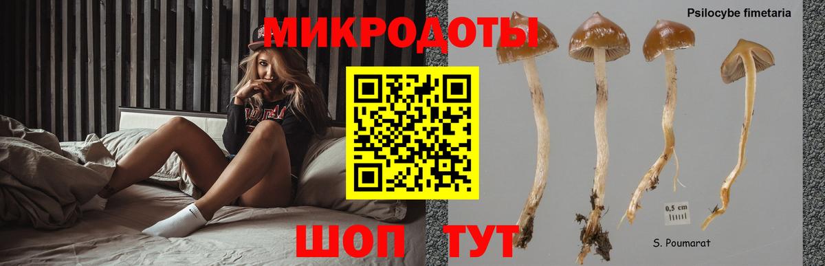 Карпинск  Псилоцибиновые грибы GOLDEN TEACHER  Галлюциногенные грибы MAGIC MUSHROOMS  Вход с VPN 